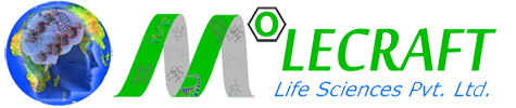Molecraft Logo